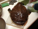 d22f15b1.JPG
